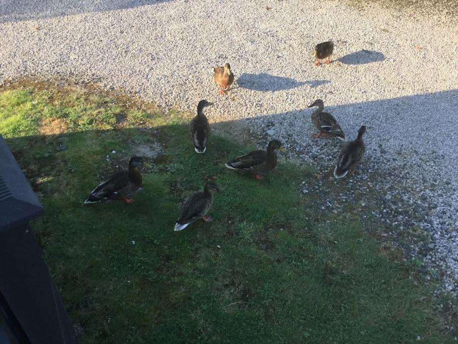 Holiday home Lakes View At Borwick Lakes Carnforth